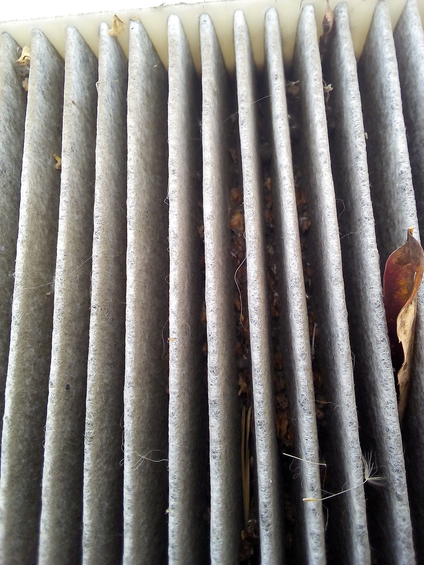 Замена салонного фильтра и щеток стеклоочистителя на зиму. — Lada ...