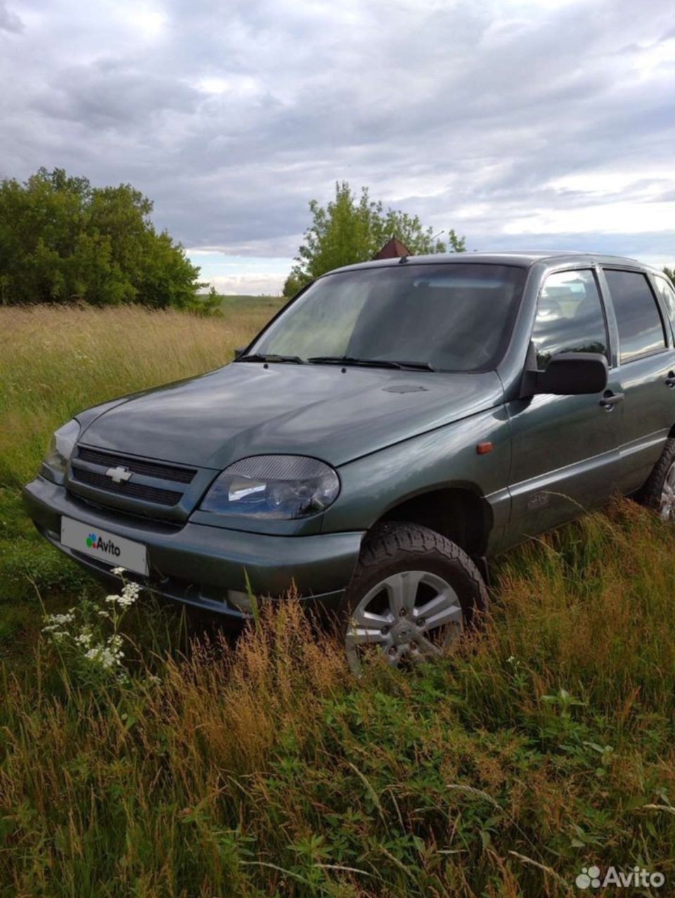 Снова в это болото или покупка машины ) — Chevrolet Niva GLX, 1,8 л, 2006  года | покупка машины | DRIVE2