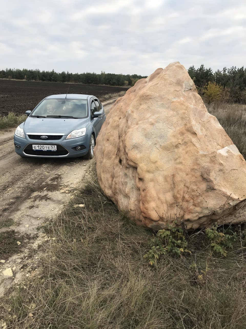 Это я в лесу был, щас я дома уже — Ford Focus II Hatchback, 1,6 л, 2008  года | покатушки | DRIVE2