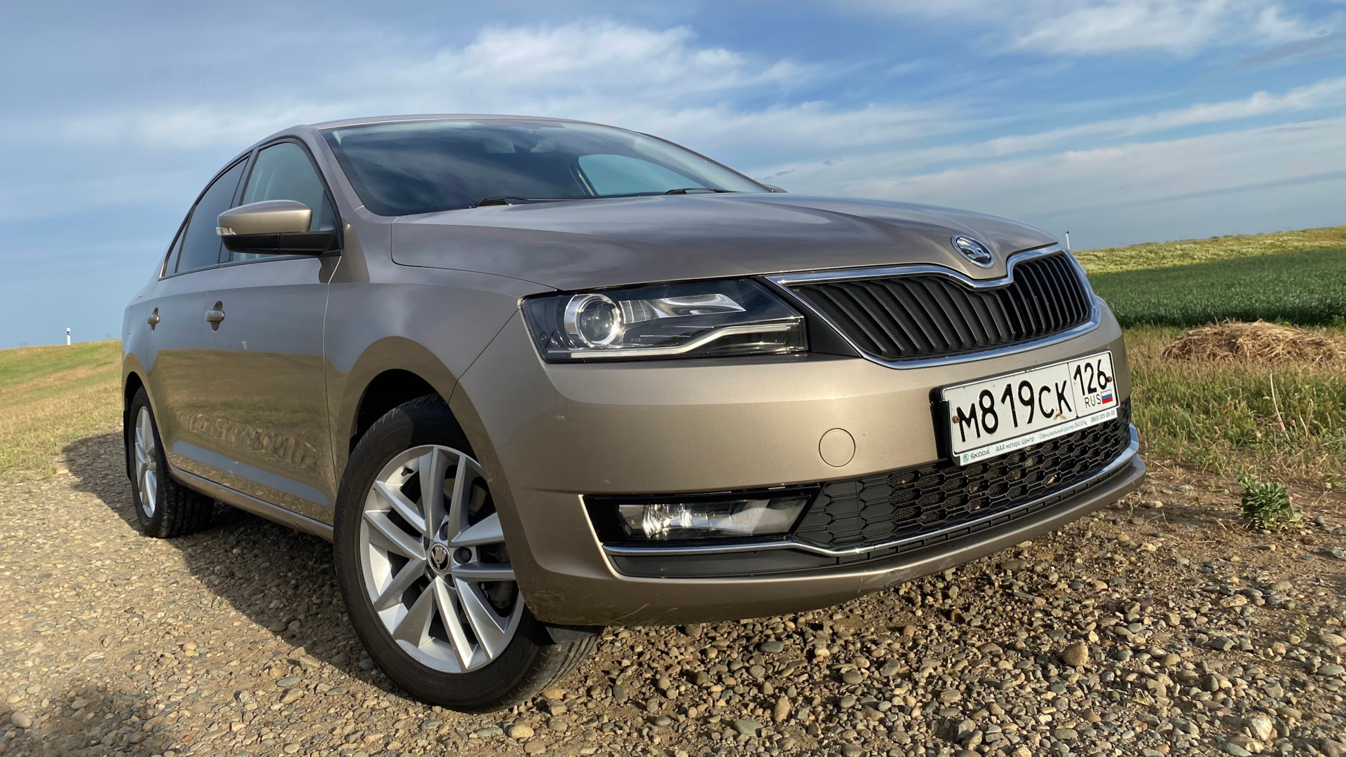 Skoda Rapid (1G) 1.6 бензиновый 2018 | на DRIVE2