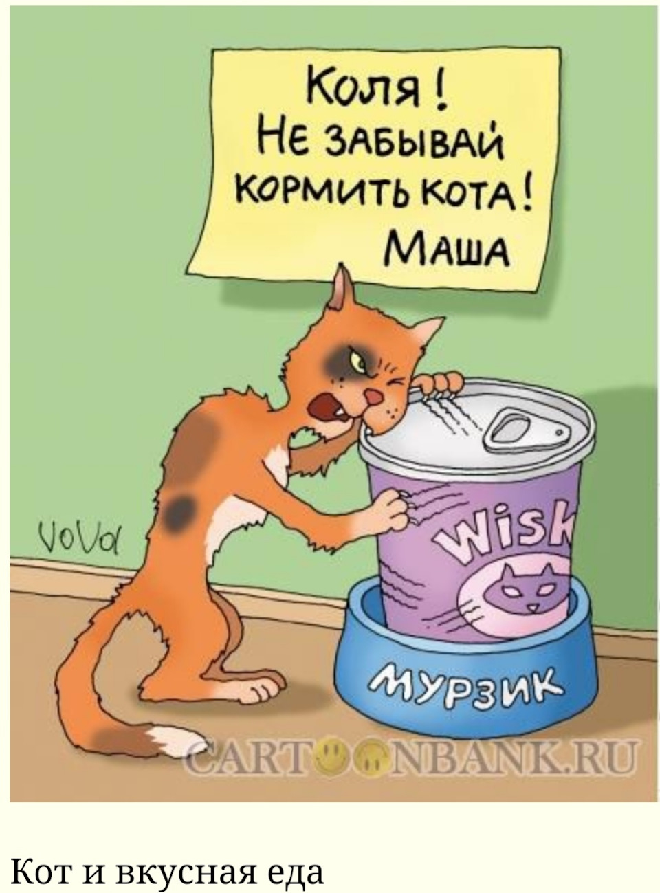 Марта красивые, приколы про коляна в картинках