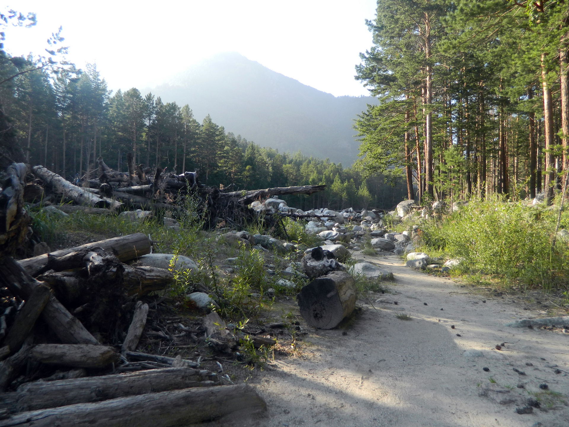 Усадьба сороковиковых аршан фото