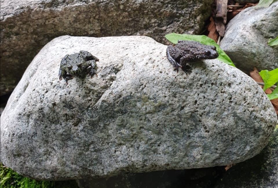 Фото в бортжурнале Toyota Land Cruiser Prado 70-series