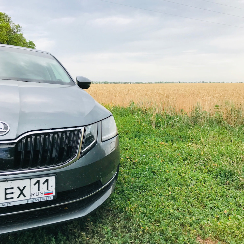 Как работает гарантия? ч. 4 — Skoda Octavia A7 Mk3, 1,8 л, 2018 года |  визит на сервис | DRIVE2