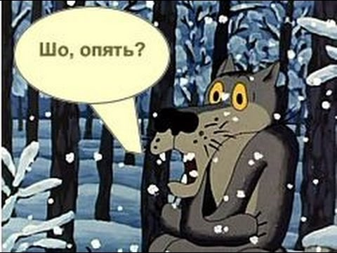 Картинка с волком из мультика шо опять фото