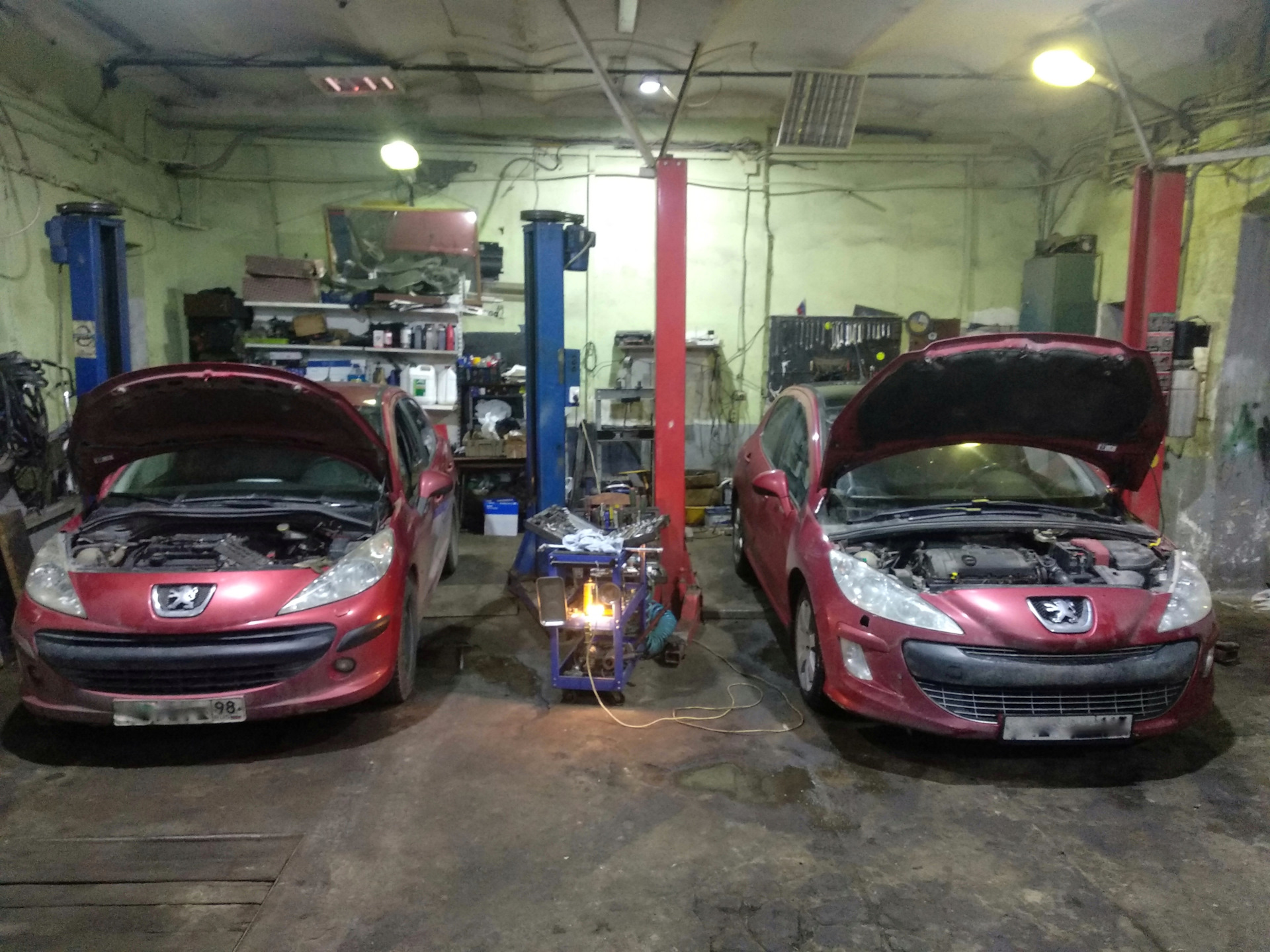 Сервис peugeot. #Ситропыжи.