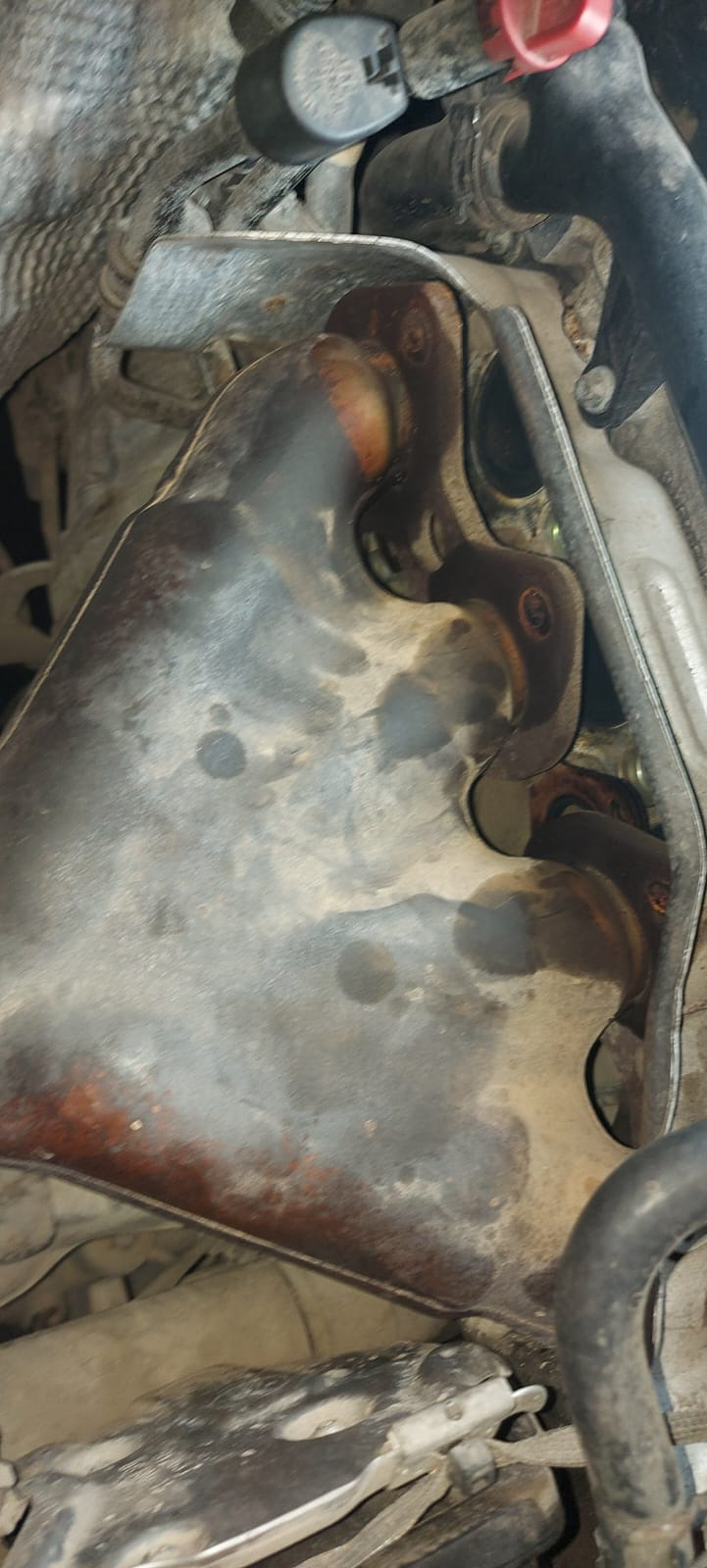 Фото в бортжурнале Mercedes-Benz C-Class (W203)