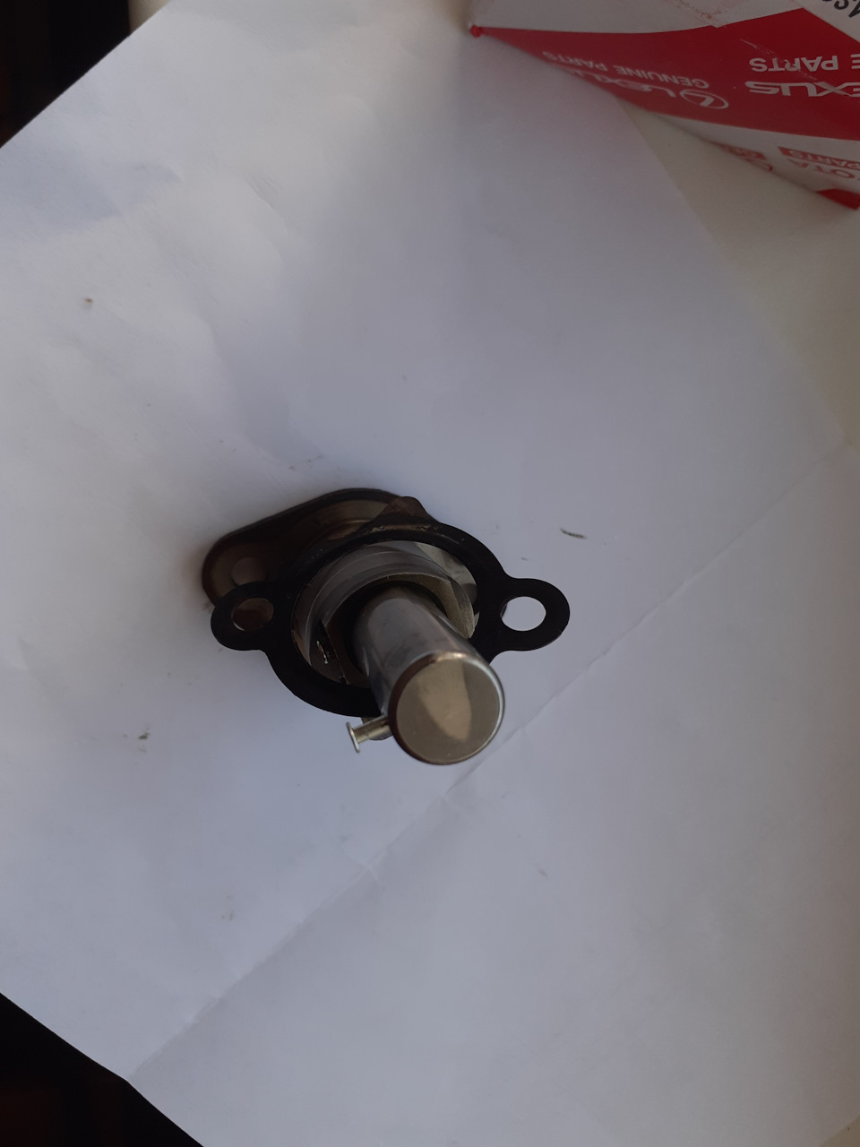 Замена гидронатяжителя цепи ГРМ — Toyota Corolla (140/150), 1,6 л, 2009 ...