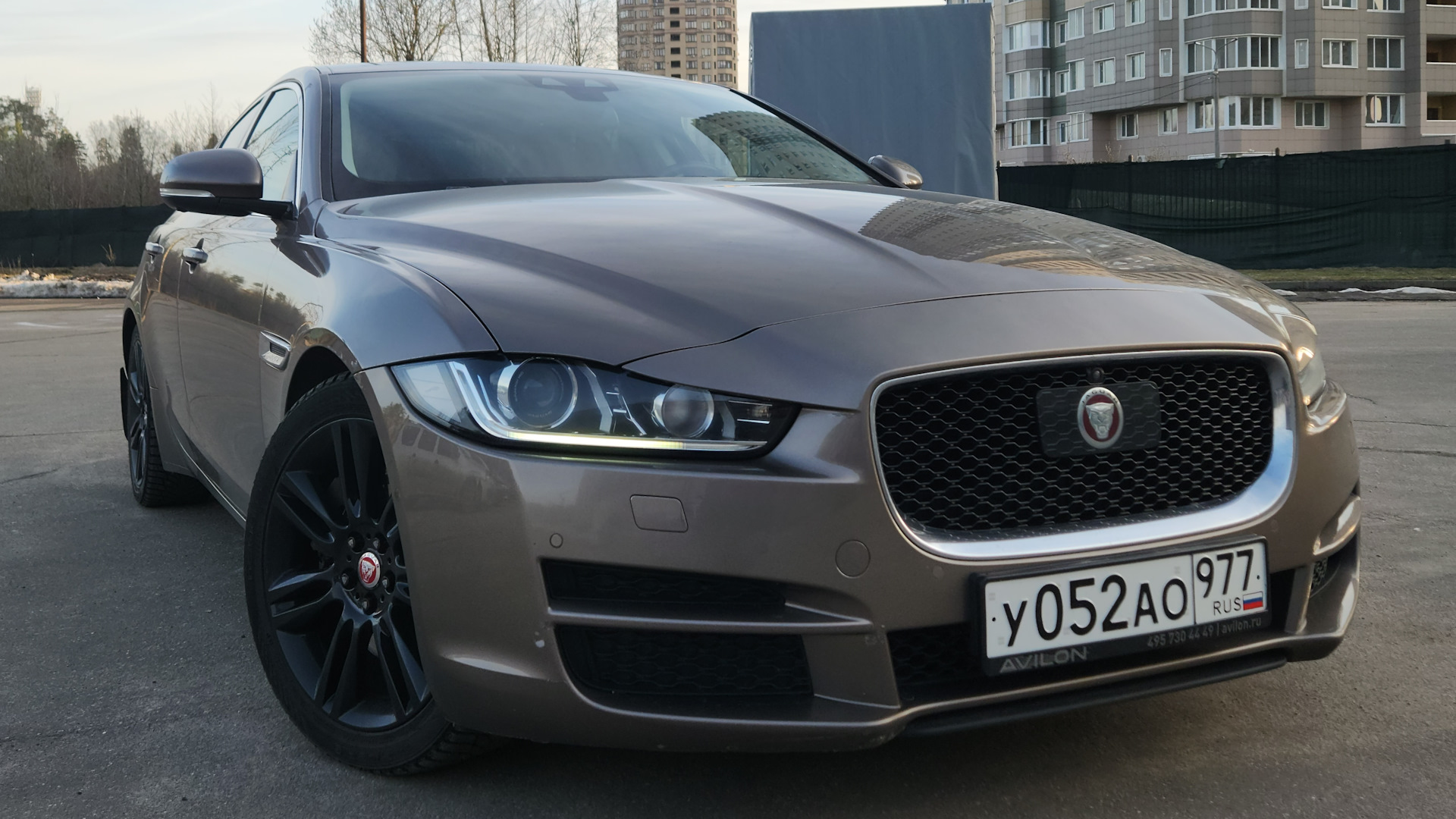 Jaguar xe каршеринг