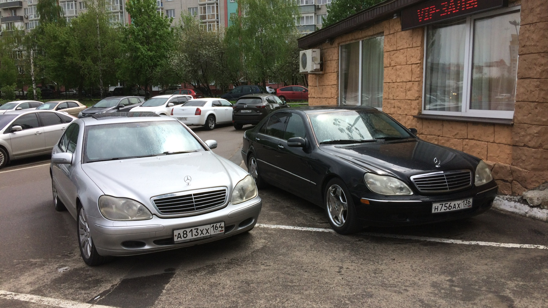 Mercedes-Benz S-Class (W220) 4.3 бензиновый 1999 | Корабль на стиле©️ на  DRIVE2