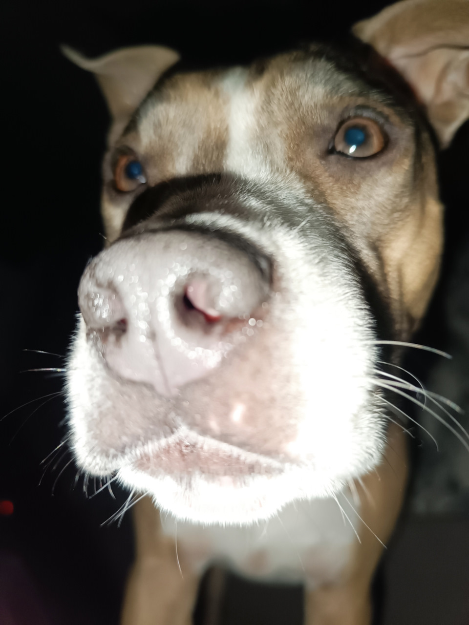 Не включается паркинг — Opel Omega B, 2,5 л, 1994 года | поломка | DRIVE2