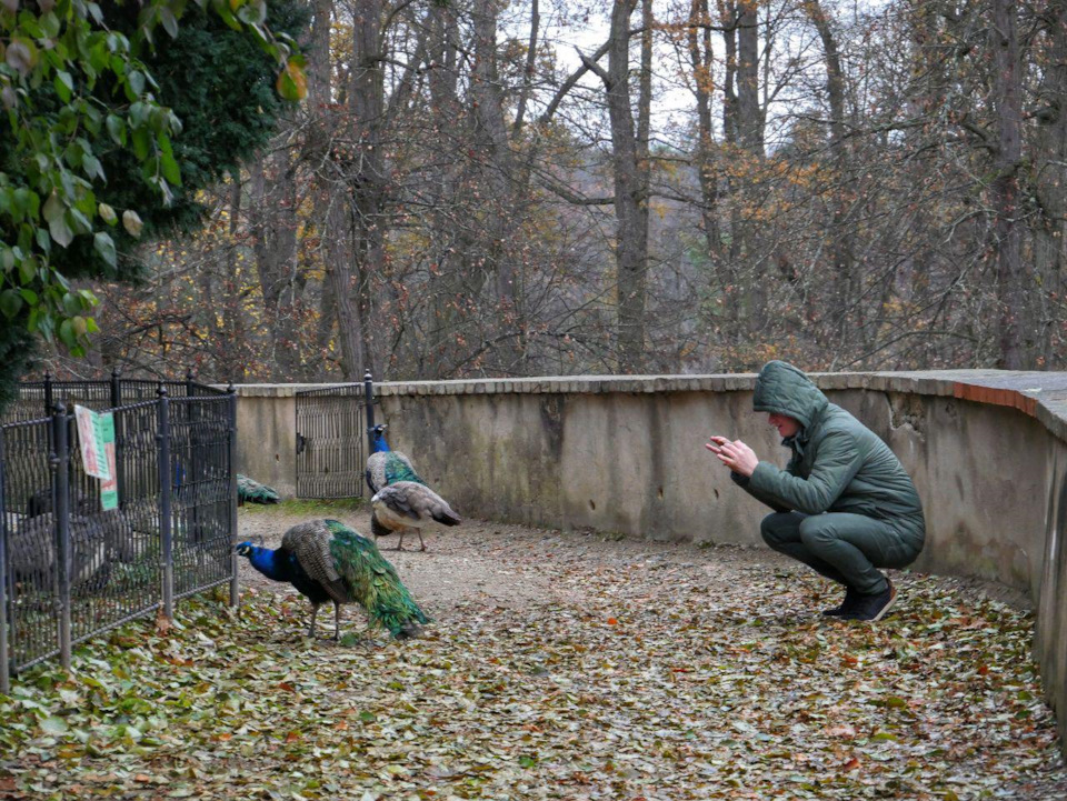 Раскоксовка Protec Carbon X, промывка BG109, присадка BG115 MOA ...