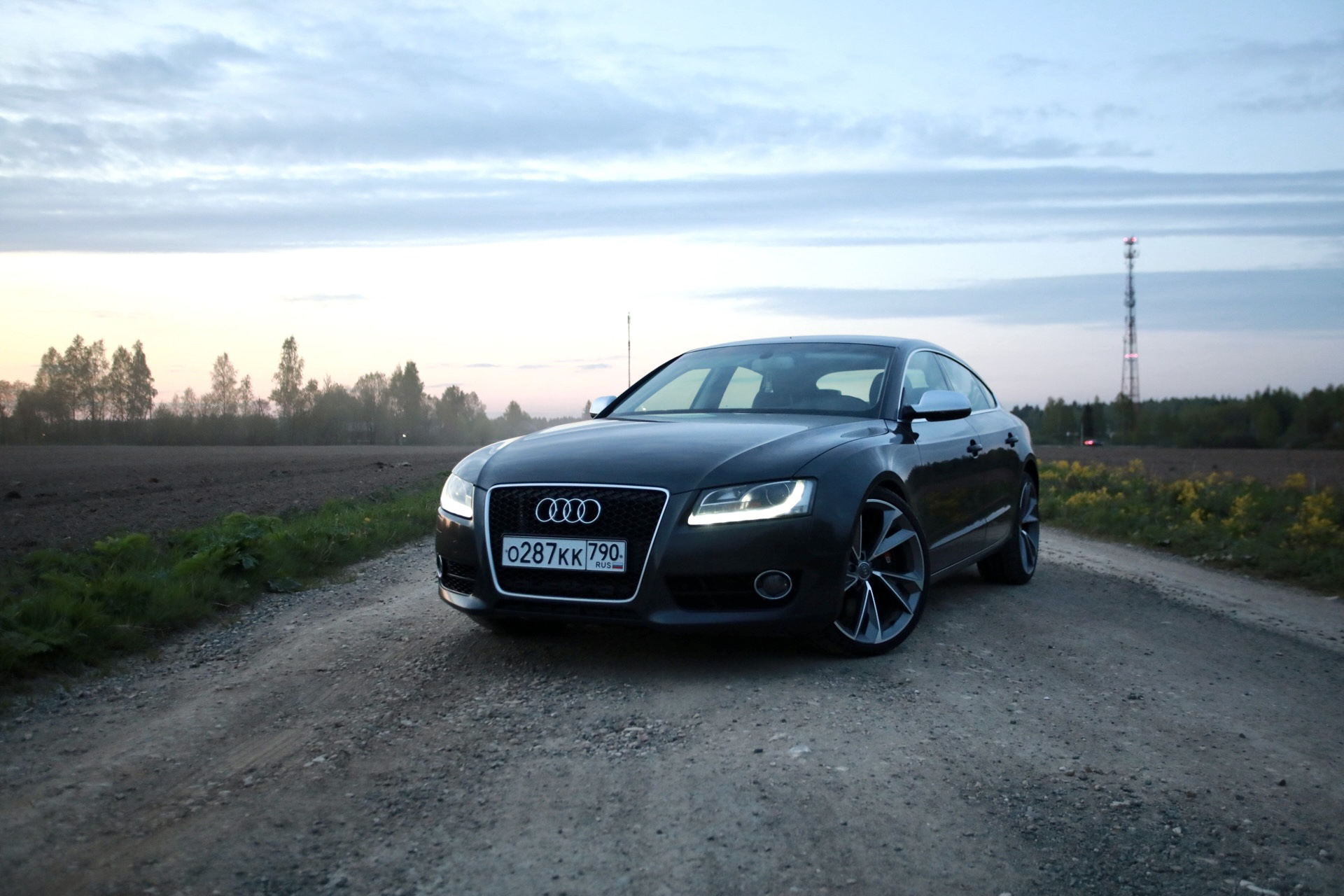 Ауди 2010 Года Купить