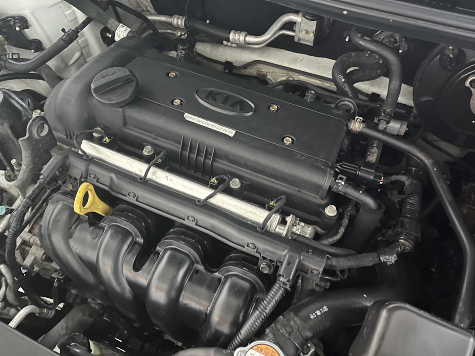 Уборка под капотом🚿🧽 — KIA Rio (3G), 1,6 л, 2012 года | мойка | DRIVE2