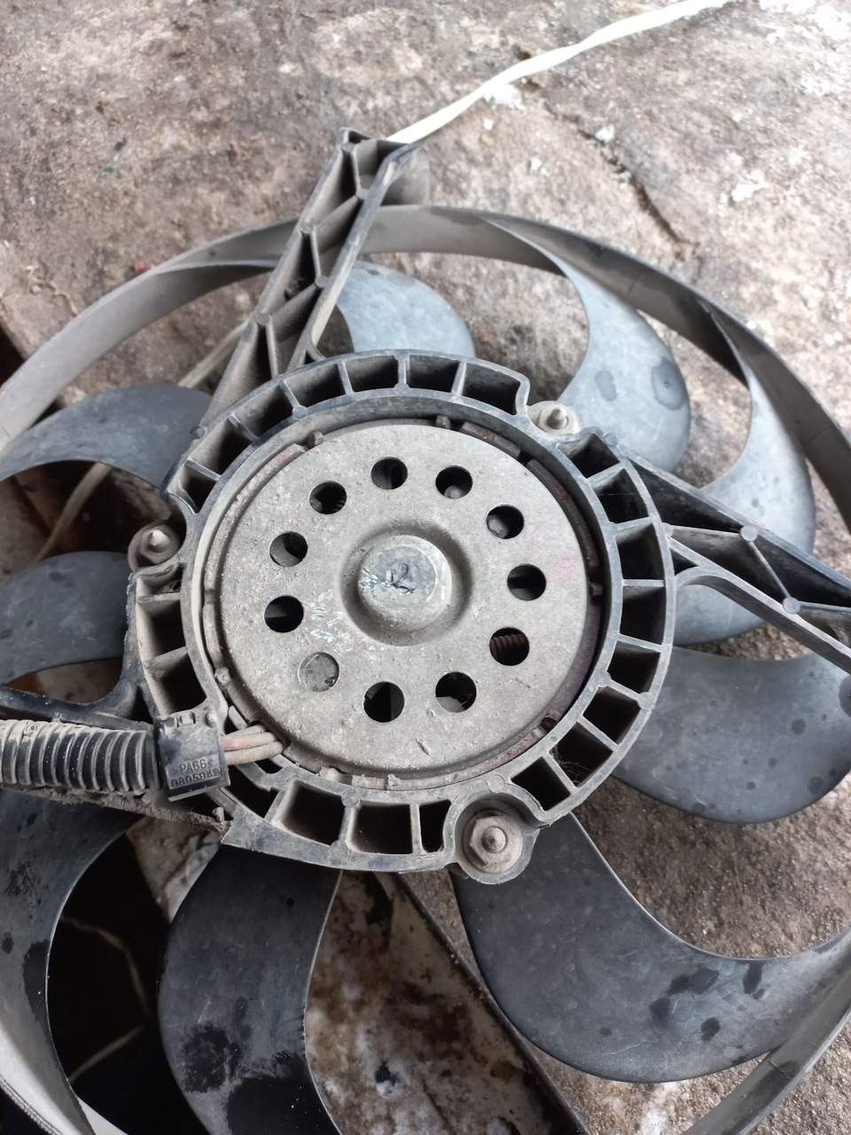 Фото в бортжурнале Volkswagen New Beetle