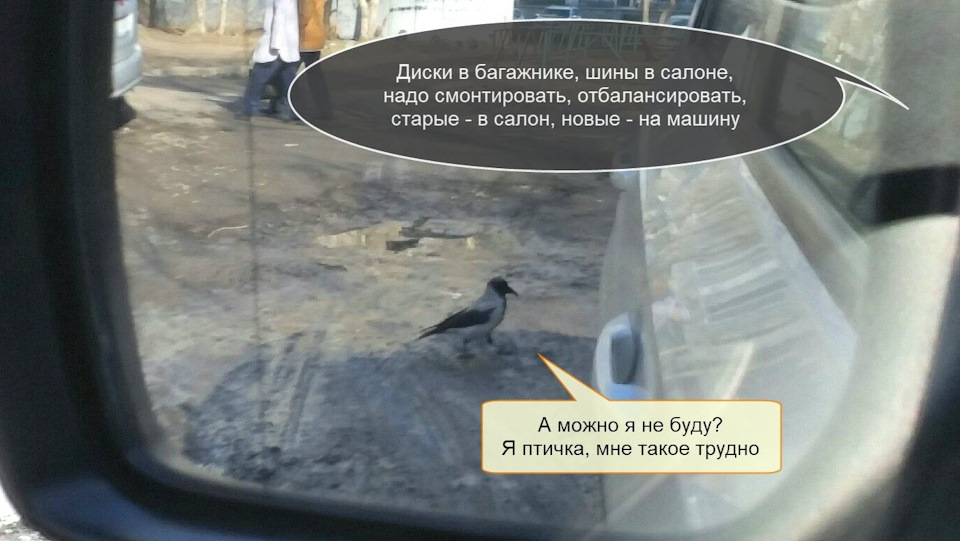 Ra1100 roadcruza на ниву. S4AAAgLCauA 960. Ra1100 roadcruza на ниву фото. Ra1100 roadcruza на ниву-S4AAAgLCauA 960. картинка Ra1100 roadcruza на ниву. картинка S4AAAgLCauA 960. В начале сезона, после долгих мук выбора, сомнений, перебора всевозможных вариантов, диалога с внутренней жабой, почти одновременно с камрадом BlackBeret 'ом была выбрана китайская атэшная резина Roadcruza RA1100. Надо сказать, что на момент покупки отзывов про нее в интернете практически не было, поэтому выбор осуществлялся чисто органолептически, так сказать: пощщупаем, понюхаем, попробуем.