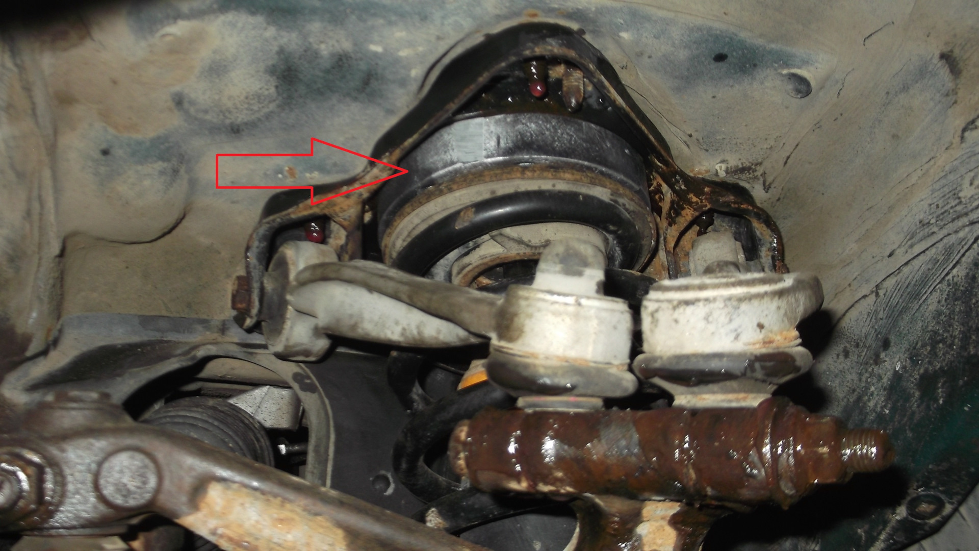 5) ПРУЖИНЫ Проставки подвески перед +зад (пассат б5) — Volkswagen ...