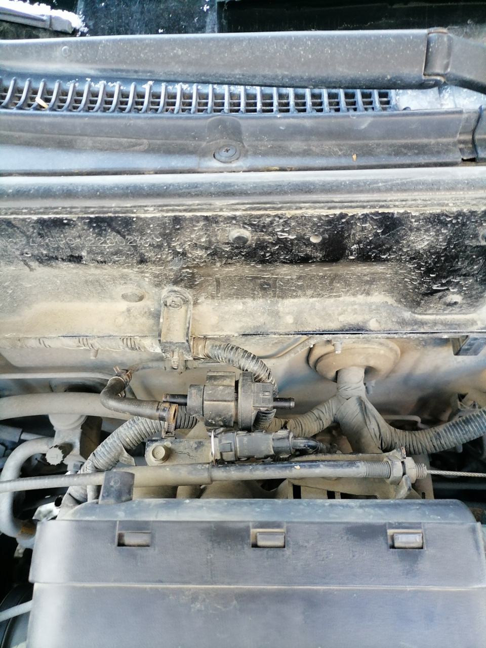 Клапан абсорбера — Hyundai Accent (2G), 1,5 л, 2008 года | своими ...
