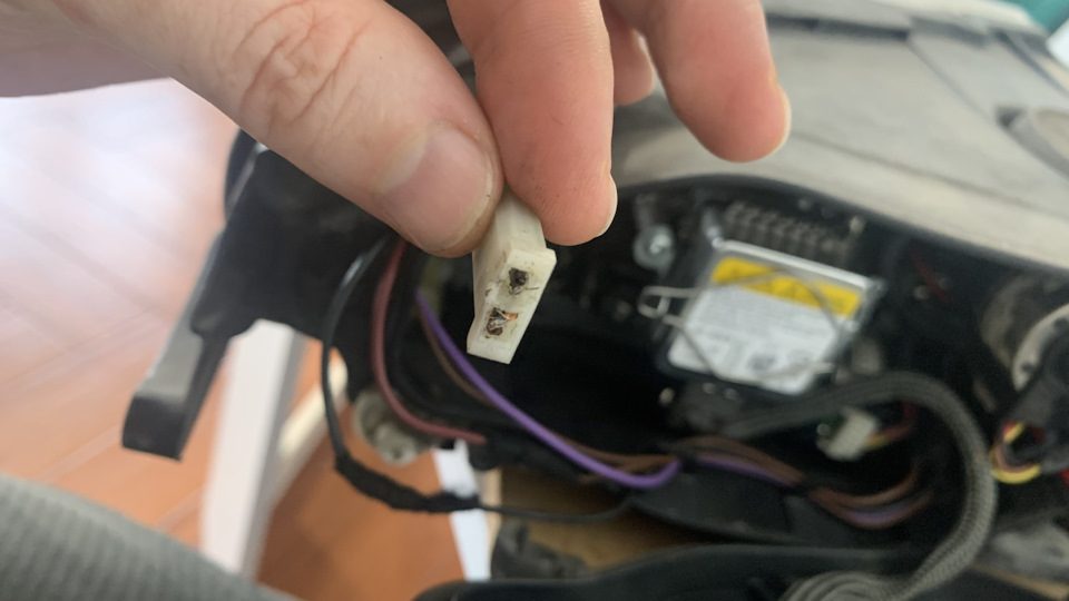 Замена ламп d1s ксенон, ремонт дальнего света — Volkswagen Touareg (1G ...