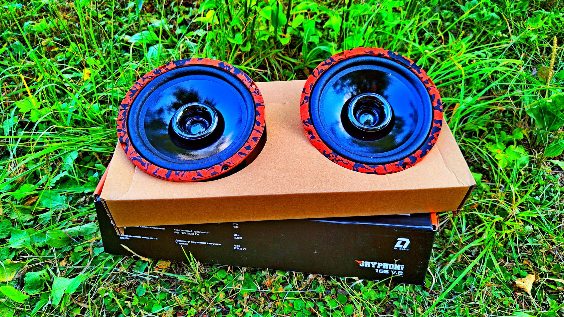 Dl audio gryphon lite 165v 2