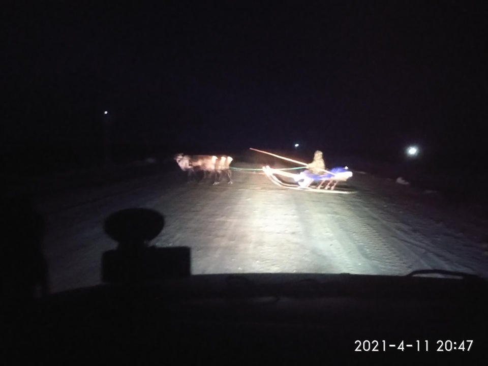 Фото в бортжурнале Volkswagen Multivan (T4)