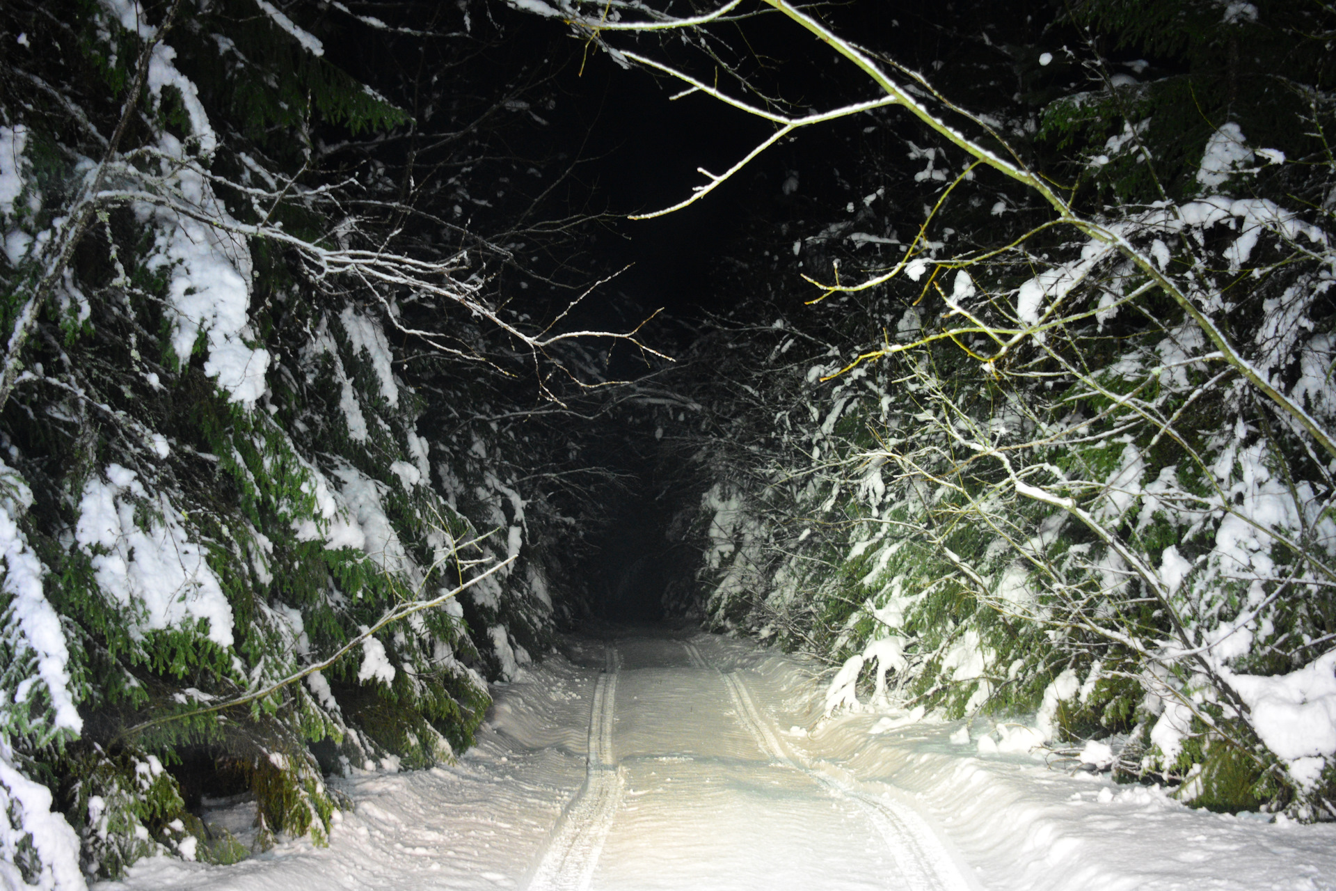 Сон дорога снег. Заснеженная дорога. Снежная дорога Чечня. Снежные дороги в районе Богородское.