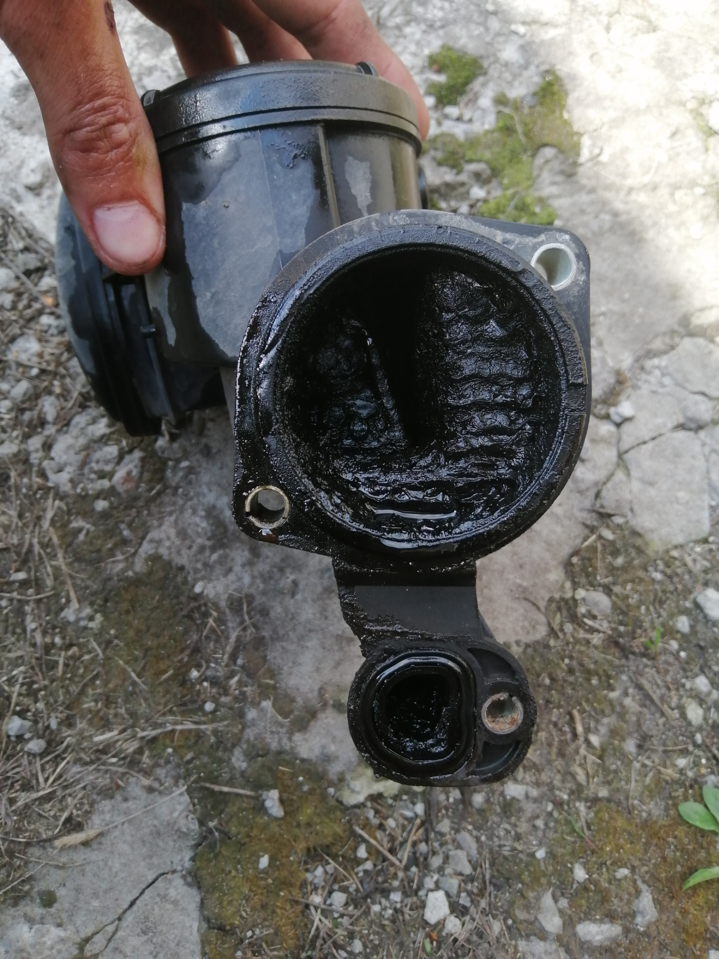 Чистка маслоотделителя и замена топливного филтра — Skoda Octavia A5 ...