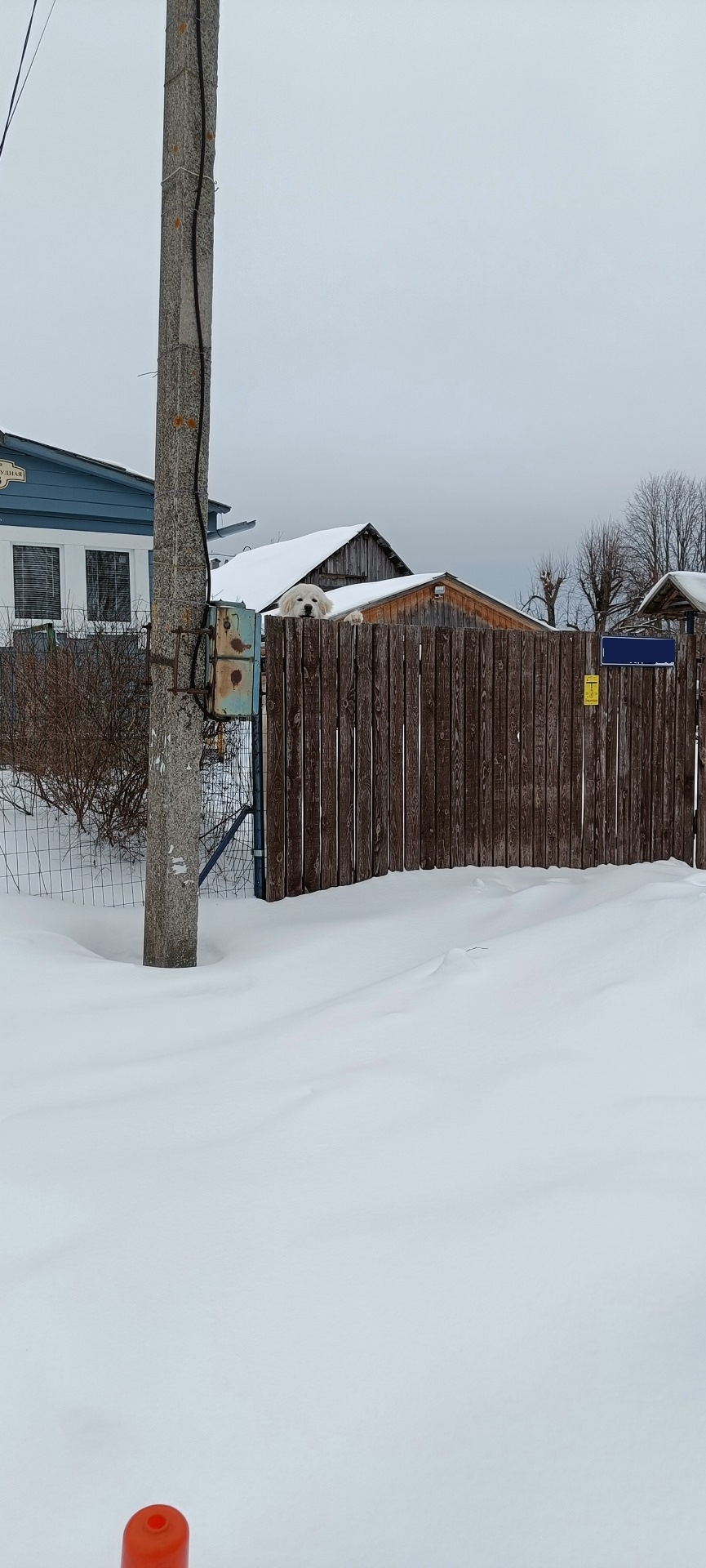 SC-VDaSUMr9_uzkbfxu1RrhO0CA-960.jpg