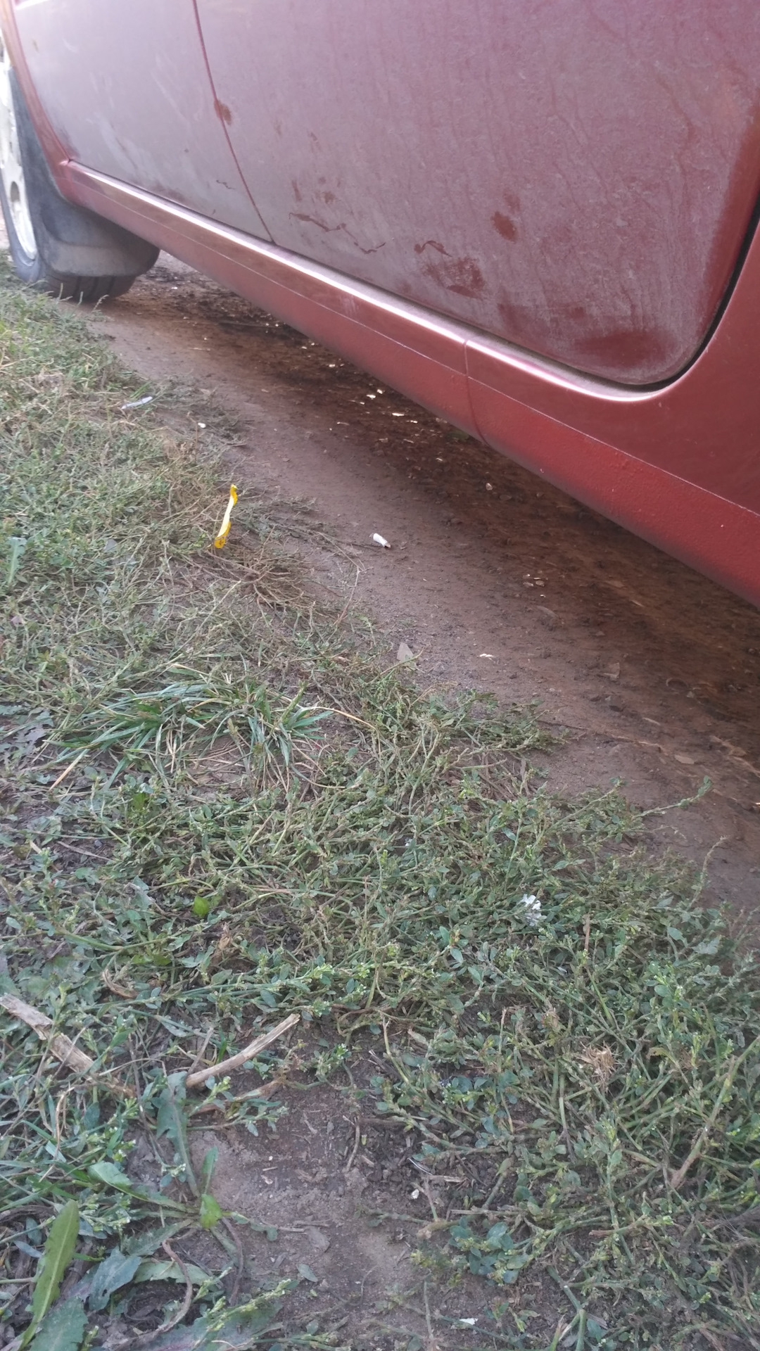 Замена масло, пороги — Lada Гранта, 1,6 л, 2015 года | плановое ТО | DRIVE2