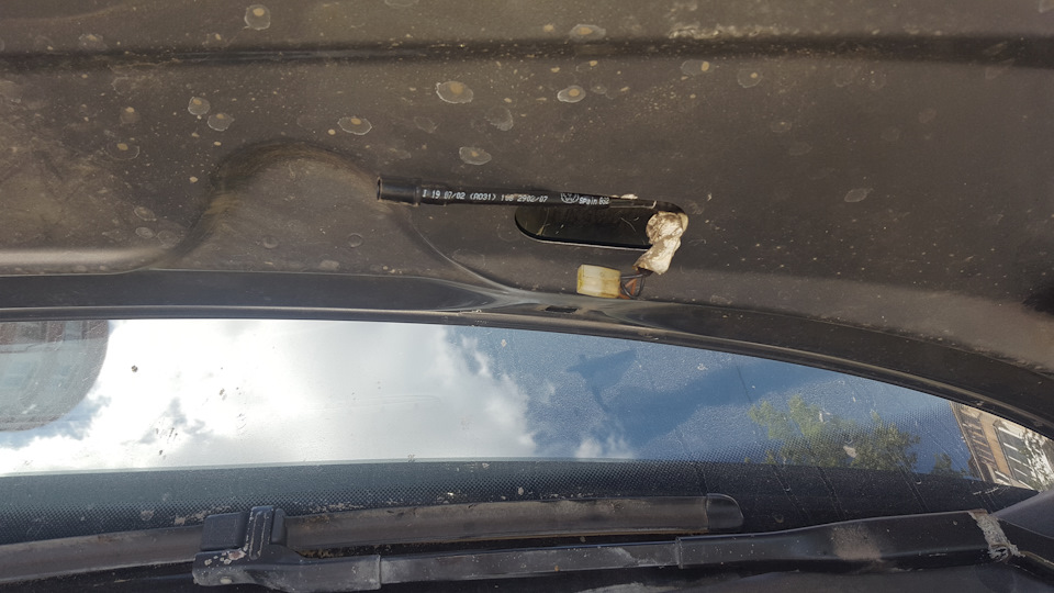 Фото в бортжурнале Volkswagen Passat Variant (B5)