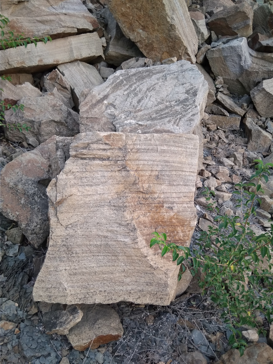 Сечет из под свечи.Помыл Бельчонка. — Opel Kadett E, 1,3 л, 1989 года ...