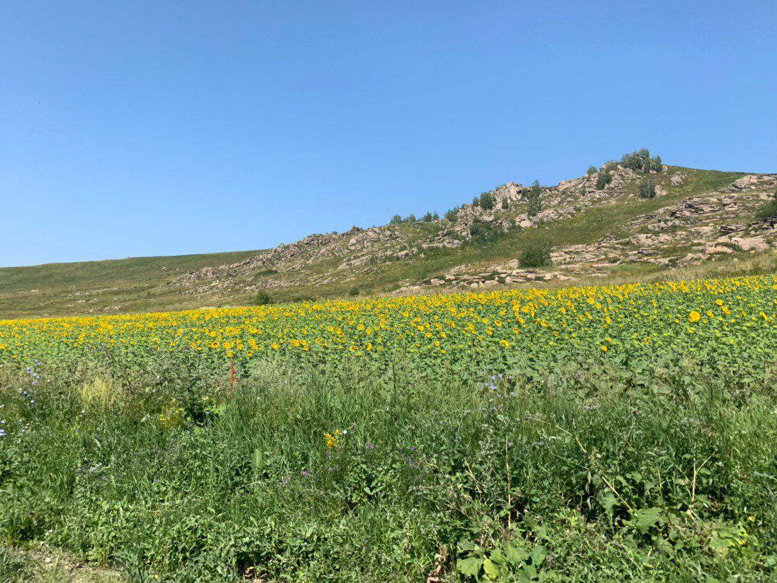 серебрянск восточный казахстан. дорога катон карагай горы. волгоград восточно-казахстанская улица 8. язевое озеро казахстан. лениногорск восточный казахстан природа.