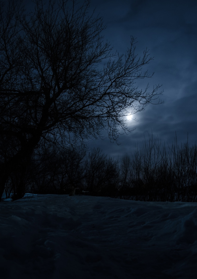 Почему ровер в не УАЗ — Land Rover Range Rover (2G), 2,5 л., 1998 года ...