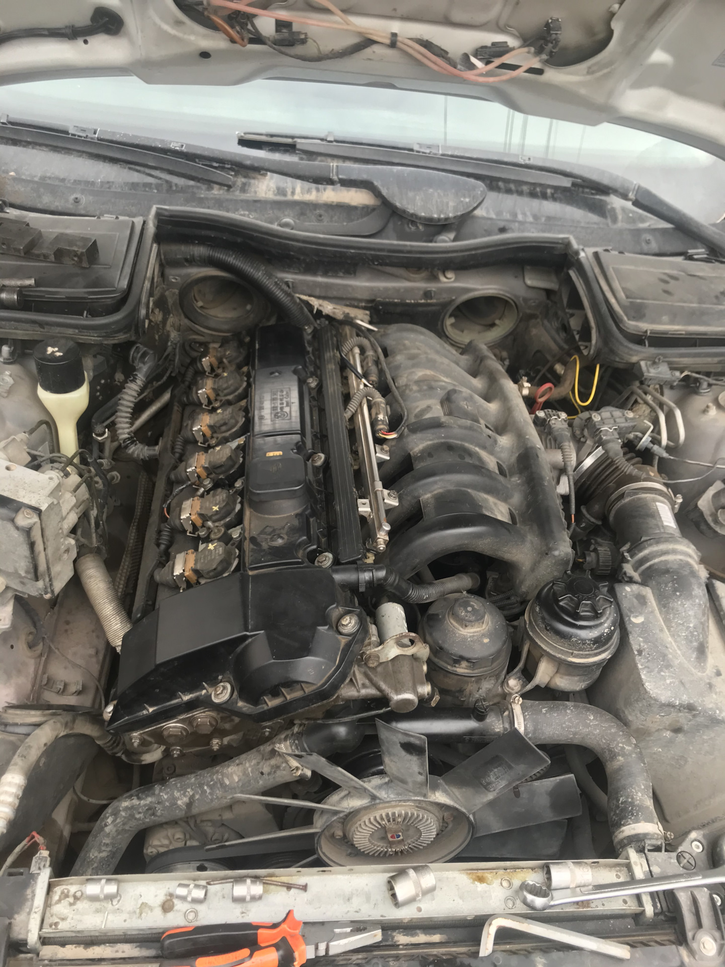 Цокает Двигатель (часть 4) — BMW 5 series (E39), 2,5 л, 1996 года ...