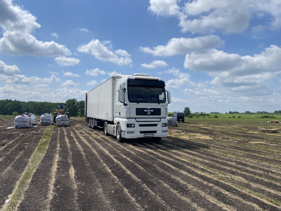 Ремонт рефа — MAN TGA 18 430, 9,9 л, 2018 года | визит на сервис | DRIVE2