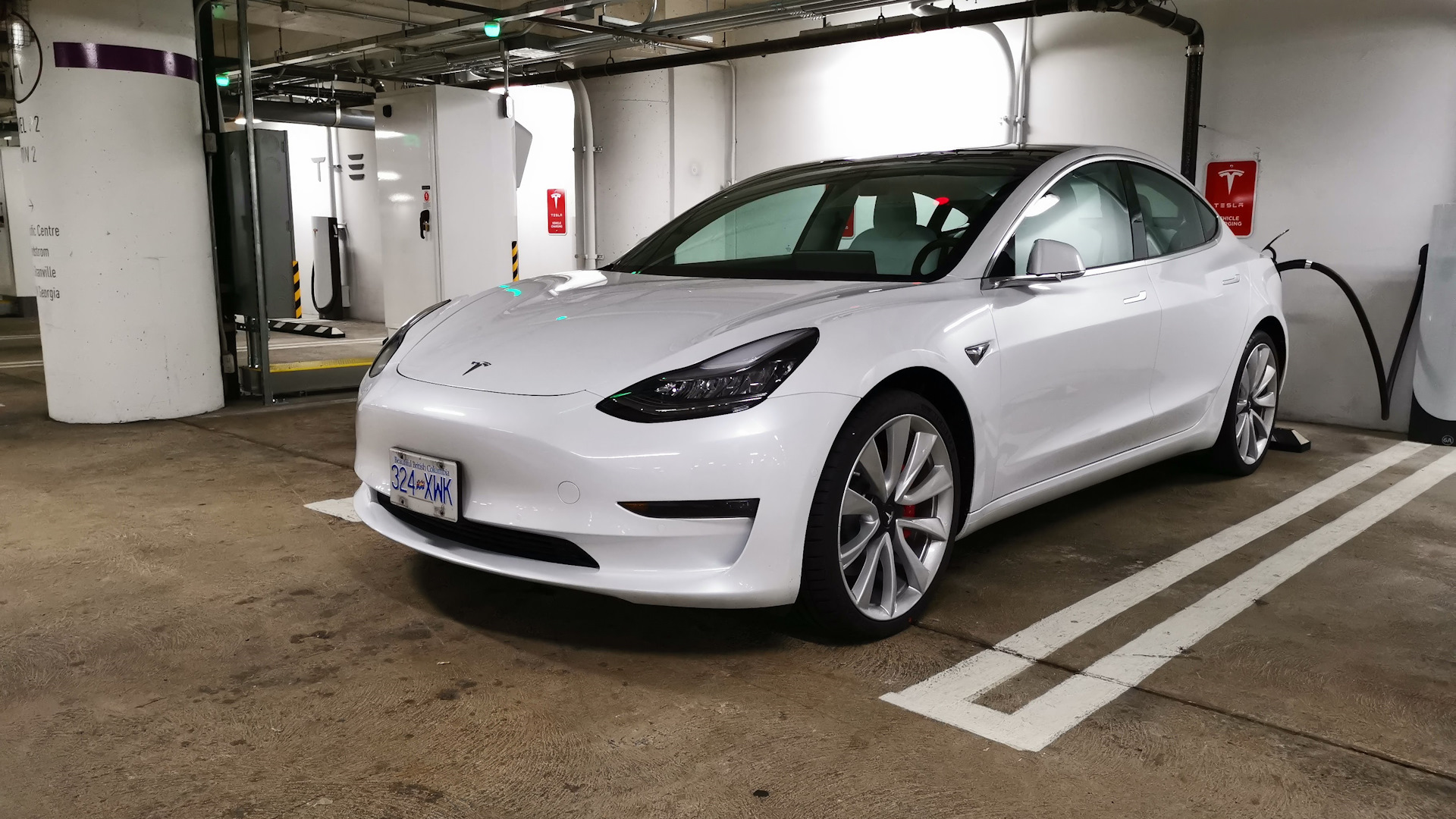 Tesla model performance. Tesla model 3 Performance. Tesla model 3 белая. Tesla model 3 Performance белая. Tesla model 3 Performance 2022.