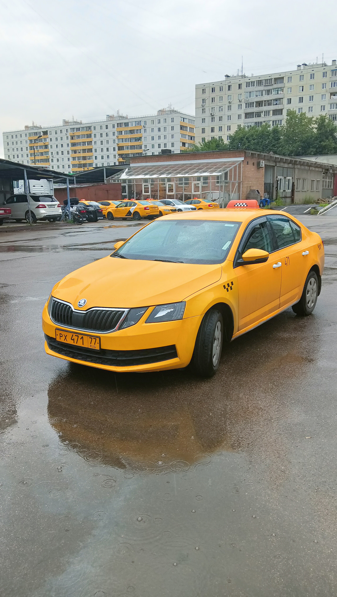 Покупка. — Skoda Octavia A7 Mk3, 1,6 л, 2017 года | покупка машины | DRIVE2