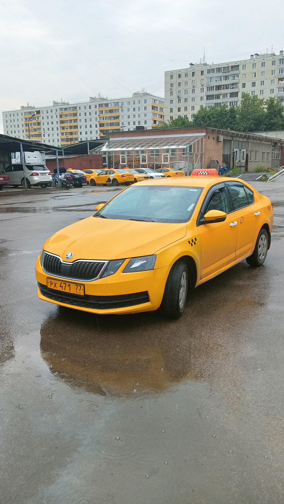 Покупка. — Skoda Octavia A7 Mk3, 1,6 л, 2017 года | покупка машины | DRIVE2