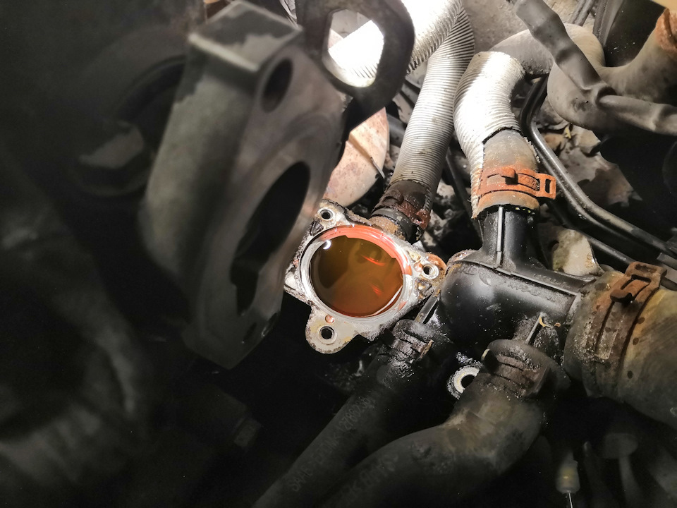 немного охладить. канистра для доливки жидкости. почему в дроссель входит антифриз. пошаговое приготовление окорока. стакан горилки.