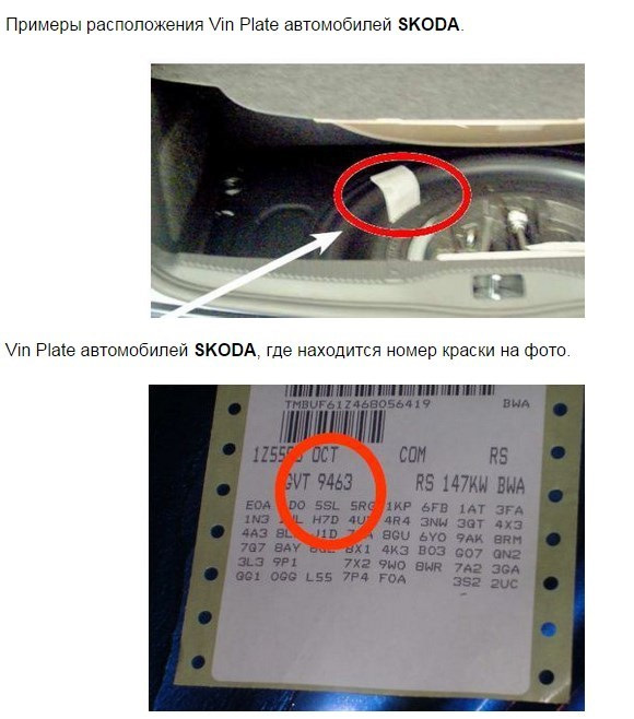Определить номер кузова. Skoda Octavia a5 табличка VIN. Skoda Octavia a5 шильдик с вин кодом 2013 года.