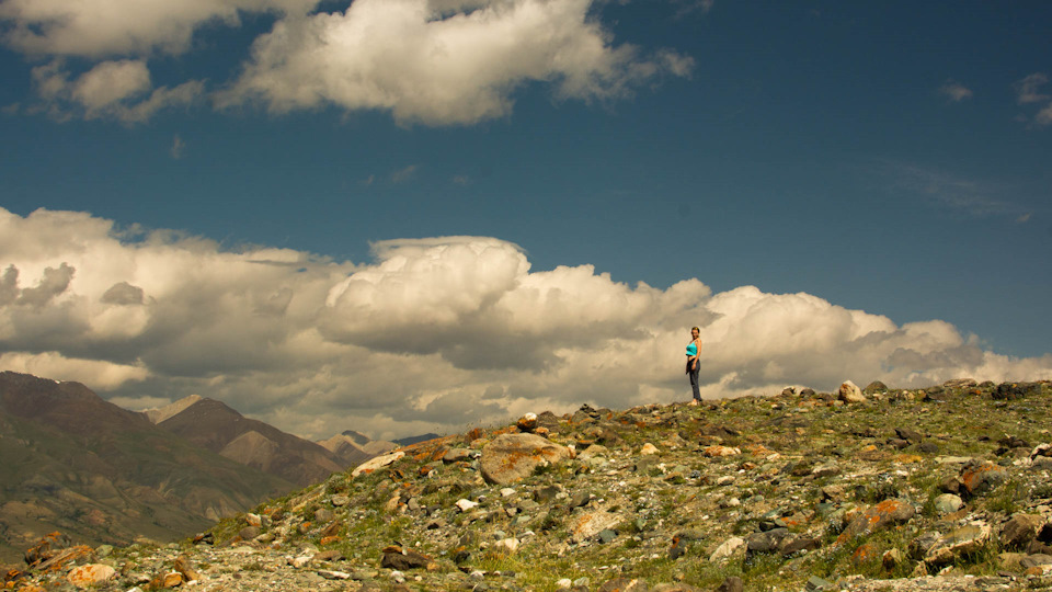 Фото в бортжурнале Suzuki Vitara XL7