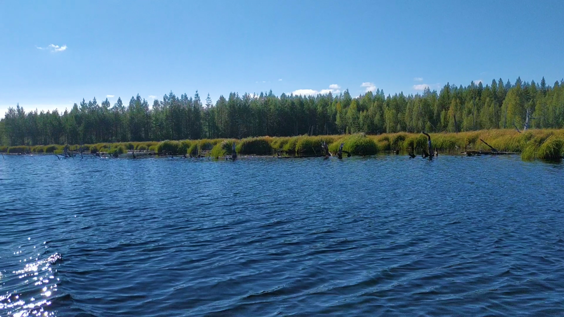 Озеро в Карелии лето