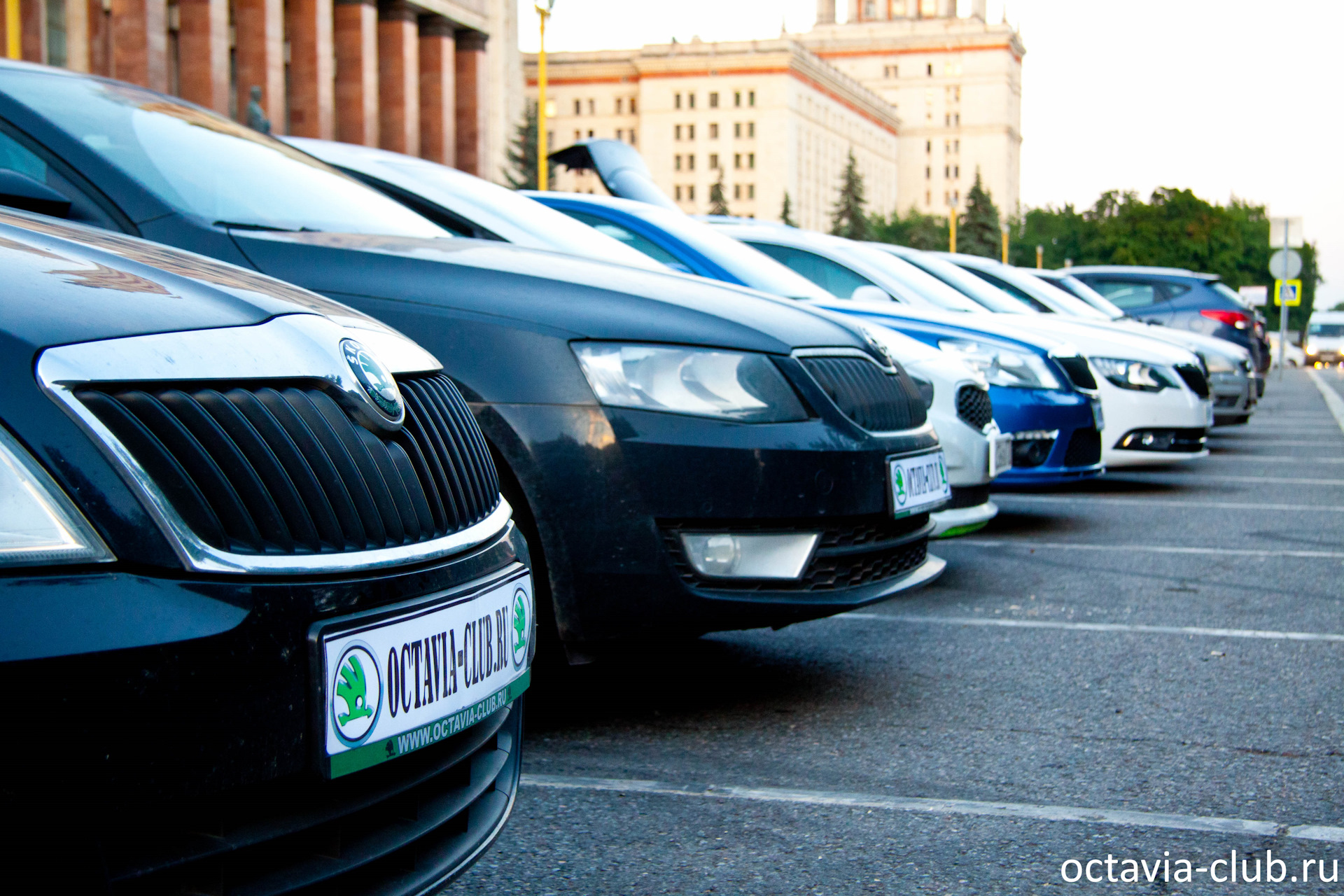 ������� ���� ���