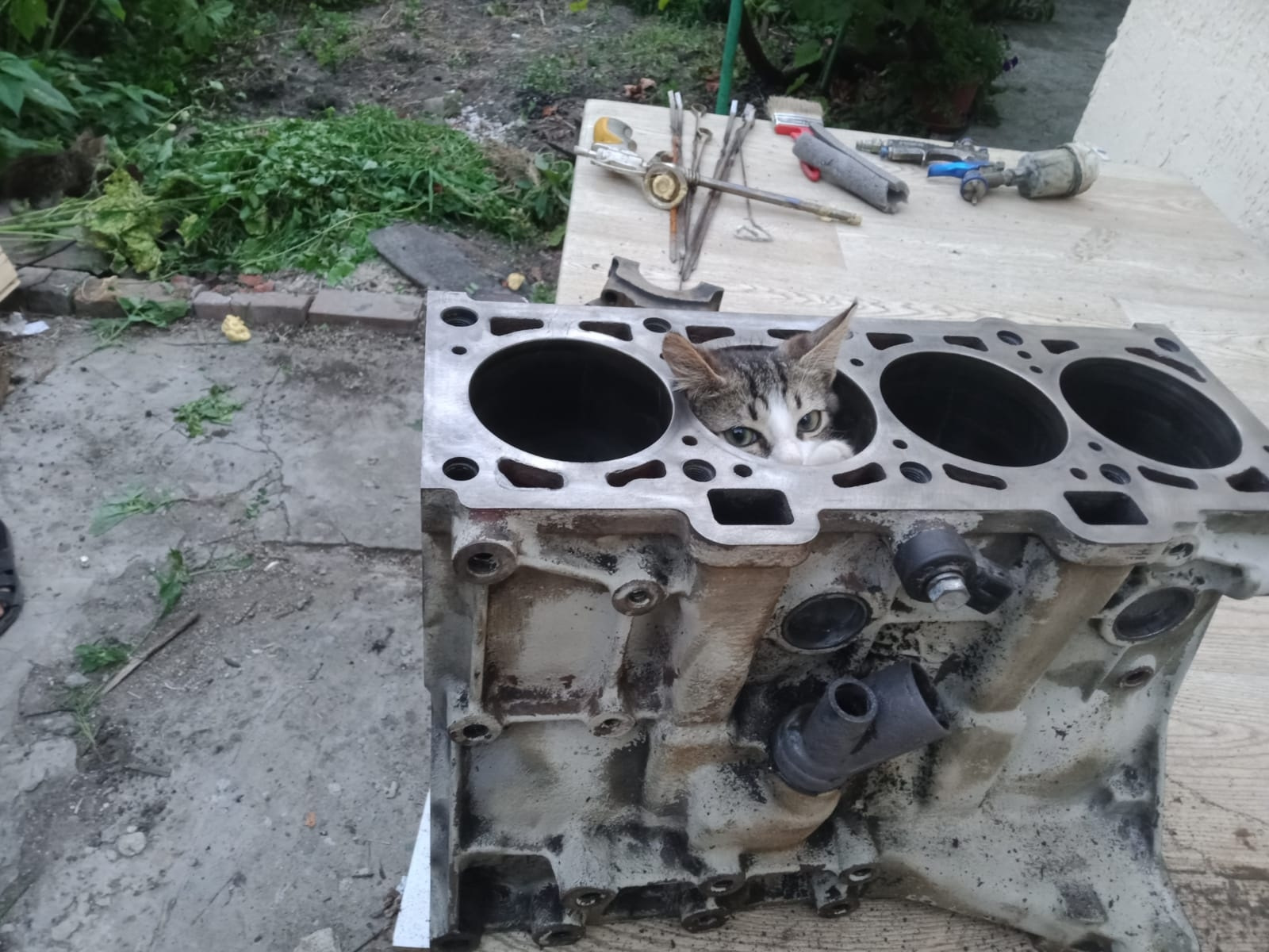 2 поршень зверь — Lada 2115, 1,6 л, 2005 года | поломка | DRIVE2