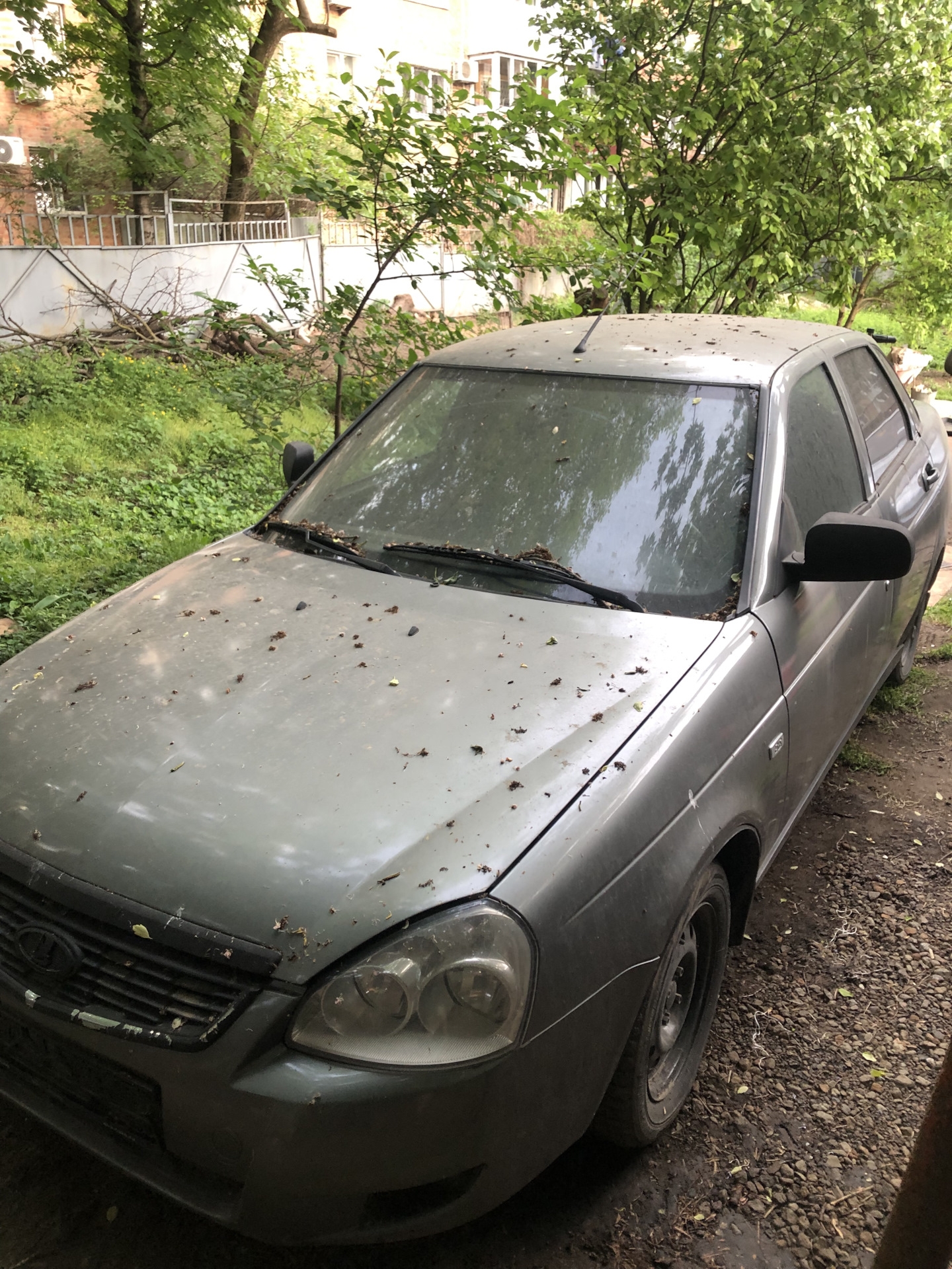 НУ ЧТО, НАЧНЕМ?) — Lada Приора седан, 1,6 л, 2011 года | просто так | DRIVE2