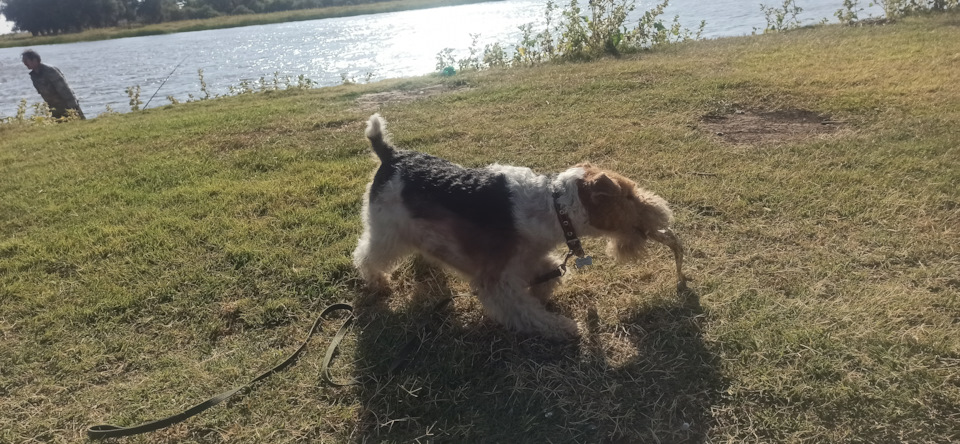 Фото в бортжурнале Mitsubishi Pajero (4G)