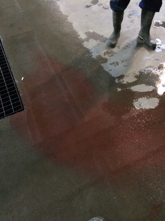 Ремень ГРМ калина 1я — Lada Калина хэтчбек, 1,6 л, 2007 года | своими ...