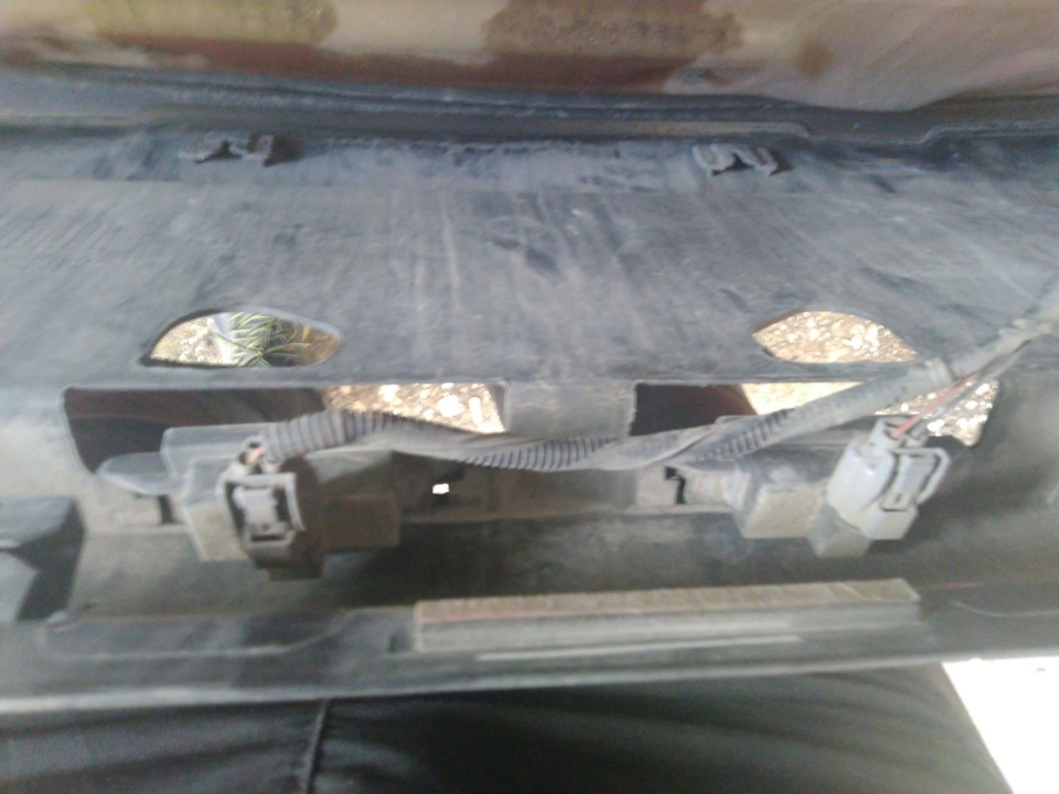 Фото в бортжурнале Honda Element