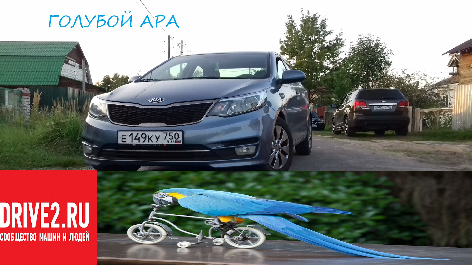 KIA Rio (3G) 1.4 бензиновый 2015 | Голубой АрА на DRIVE2