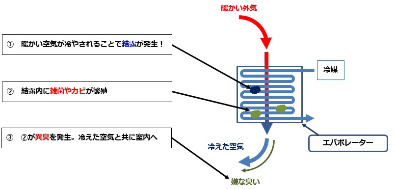 Как и чем Японцы чистят испаритель кондиционера? — Honda Accord Hybrid ...
